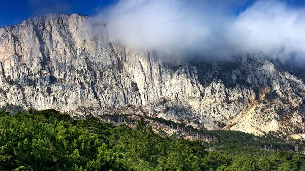 Вид на горы и лес вдоль трассы Ялта-Севастополь вблизи Алупки в Крыму.