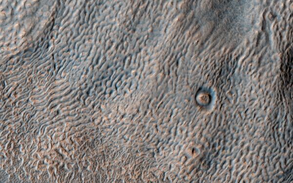 Снимок Марса, сделанный Марсианским разведывательным спутником (МРС)