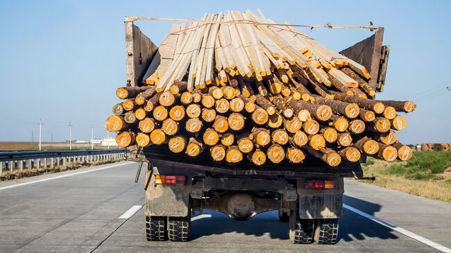 Грузовик, перевозящий дрова, на трассе 