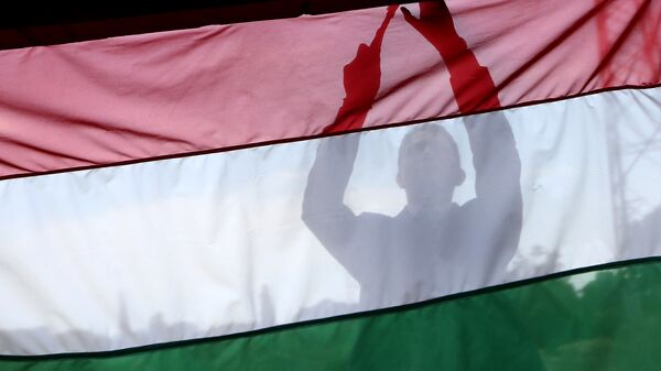 Мужчина на фоне флага Венгрии
