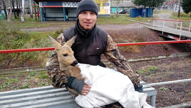 Спасенную косулю передали в заповедник Кузнецкий Алатау