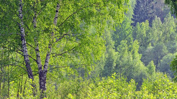 Национальный парк Смоленское поозерье