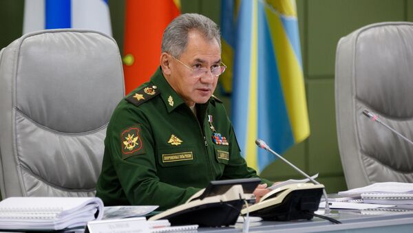 Министр обороны РФ Сергей Шойгу. 6 октября 2017