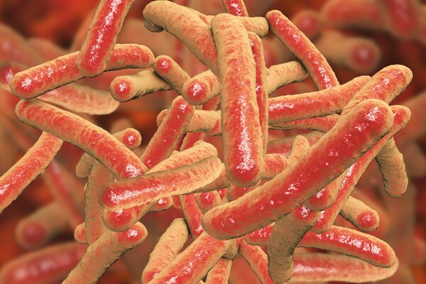 Бактерии Mycobacterium tuberculosis, возбудитель туберкулеза Бактерии Mycobacterium tuberculosis, возбудитель туберкулеза