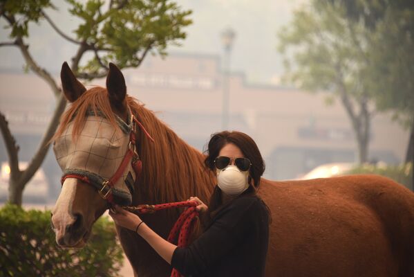 Женщина спасает лошадь во время пожара в Ориндже, Калифорния, США. 9 октября 2017
