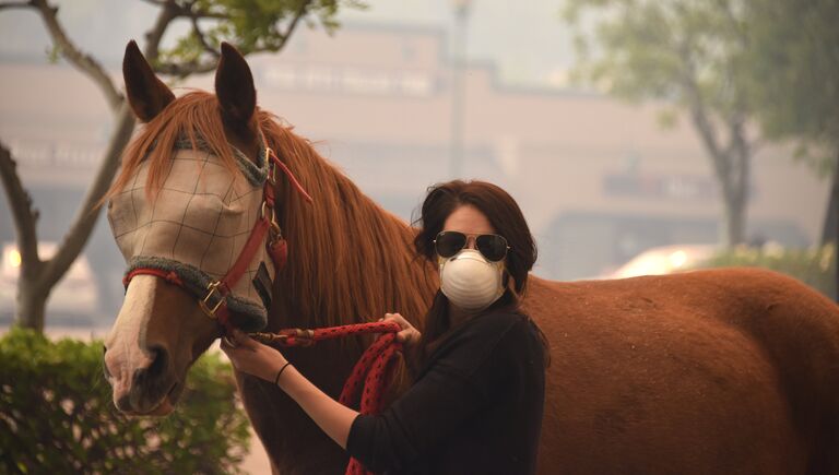 Женщина спасает лошадь во время пожара в Ориндже, Калифорния, США. 9 октября 2017