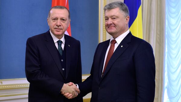 Президент Турции Реджеп Тайип Эрдоган и президент Украины Петр Порошенко во время встречи в Киеве. 9 октября 2017