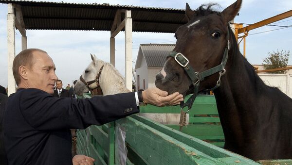Президент РФ Владимир Путин во время посещения животноводческого комплекса агрофирмы Николаевская в Саратовской области
