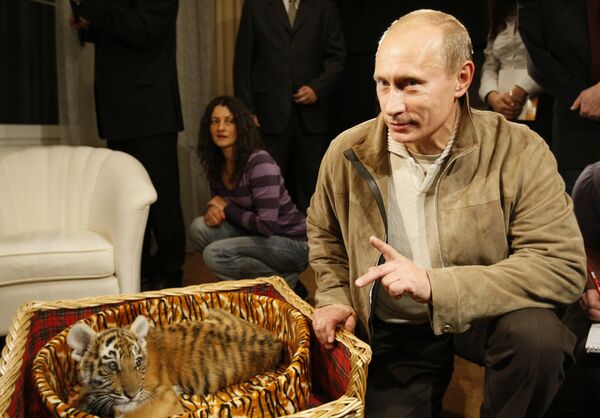 Владимир Путин познакомил журналистов с тигренком, которого ему подарили на день рождения 7 октября. 2008 год