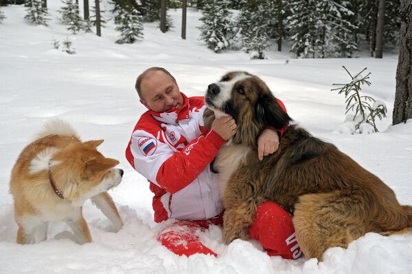 Президент России Владимир Путин с собаками Баффи и Юмэ на прогулке в Московской области. 24 марта 2013