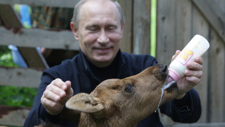 Премьер-министр РФ Владимир Путин во время посещения парка Лосиный остров. 5 июня 2010