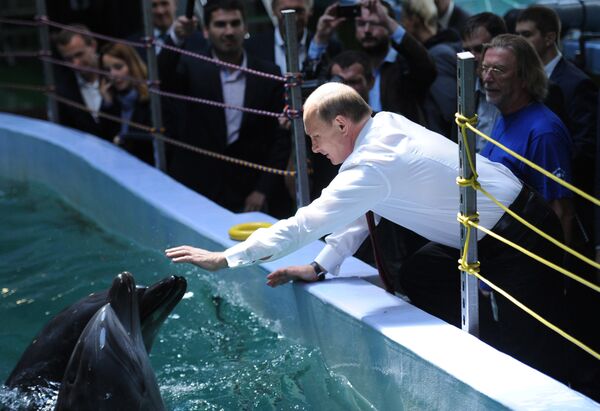 Президент РФ Владимир Путин во время посещения Приморского океанариума, строящегося на острове Русский. 1 сентября 2013