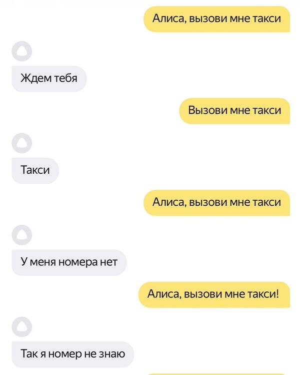 Пойму алиса