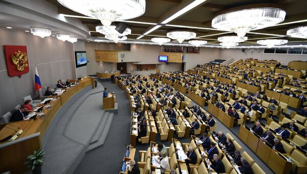 На дополнительном пленарном заседании Государственной Думы РФ. 12 октября 2017