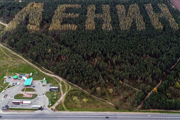 Лес, высаженный в виде надписи Ленин, недалеко от города Иваново в Белоруссии