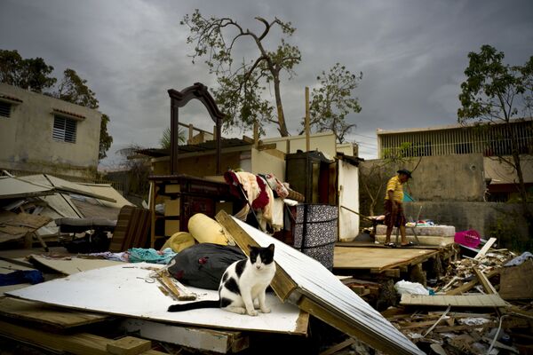 Последствия урагана Мария в Сан-Хуане, Пуэрто-Рико