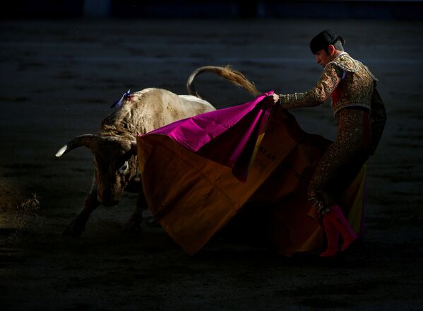 Матадор с быком во время корриды на арене Лас-Вентас в Мадриде, Испания
