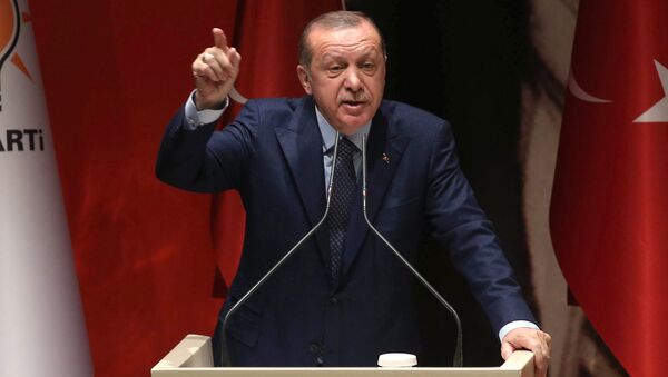 Президент Турции Реджеп Тайип Эрдоган во время выступления перед губернаторами в Анкаре. 13 октября 2017