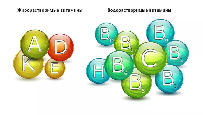 Группы жирорастворимых и водорастворимых витаминов Группы жирорастворимых и водорастворимых витаминов