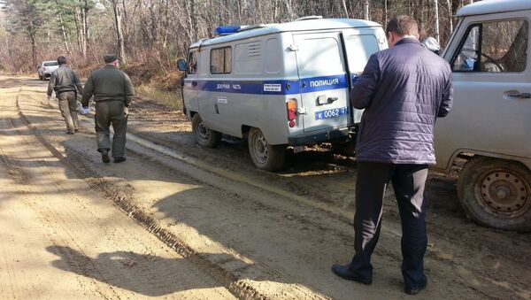 Место обнаружения мертвого тигренка рядом с заказником Бирский Хабаровского края