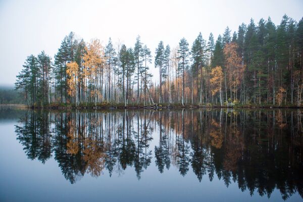 Озеро Толвоярви в Суоярвском районе Республики Карелия