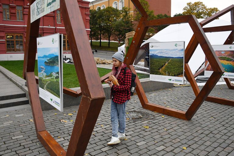 На Манежной площади открылись фотовыставки, одна из которых посвящена проекту Среда живая и мертвая итальянского фотографа Энцо Розамилья, Экологические хроники Анны Нафиевой и другие.