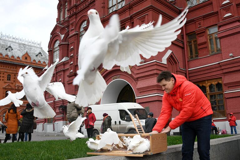 В честь торжественного открытия третьей Российской экологической недели на Манежной площади выпустили белых голубей.