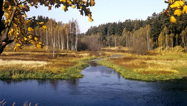 Озеро в Клинском районе станет особо охраняемым водным объектом