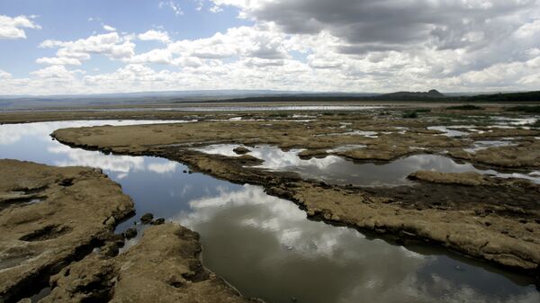 Озеро Накуру в Кении . Архивное фото
