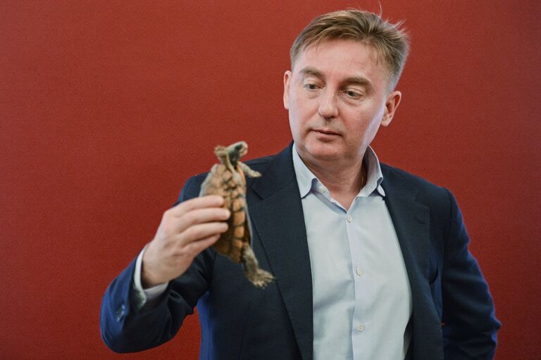 Руководитель департамента природопользования и охраны окружающей среды города Москвы Антон Кульбачевский держит черепаху, незаконно ввезенную в Россию, во время передачи Центром передержки Департамента природопользования Московскому зоопарку в Москве
