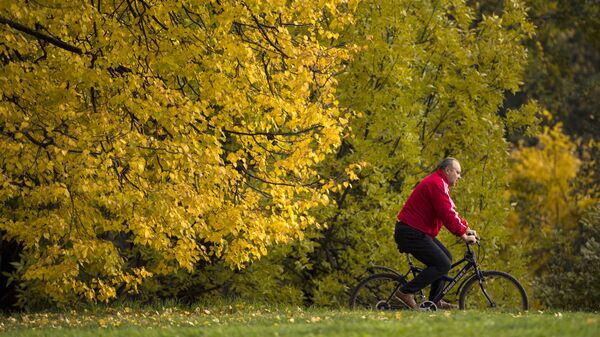 Мужчина на велосипеде в парке. Архивное фото