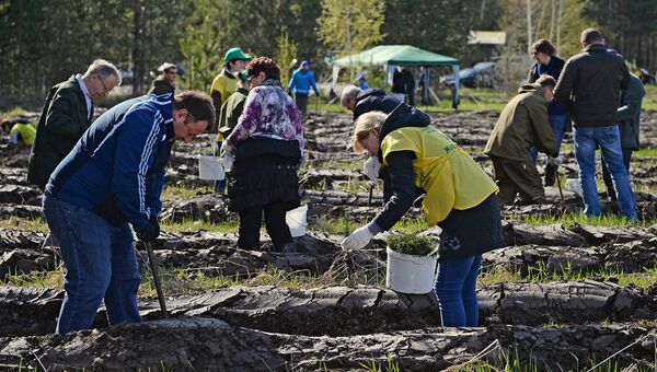 Волонтеры посадили пять тысяч деревьев в лесу в Гудермесском районе