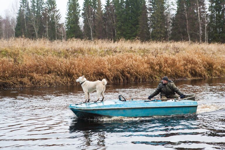 Инспектор национального парка Водлозерский с собакой плывут на моторной лодке по реке Илекса