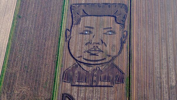Итальянский художник Дарио Гамбарин на тракторе изобразил на поле под итальянской Вероной двухсотметровый портрет северокорейского лидера Ким Чен Ына с надписью Опасность на английском языке