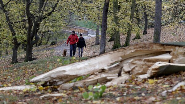 Жители проходят мимо упавшего дерева в парке в Праге, Чехия. 29 октября 2017