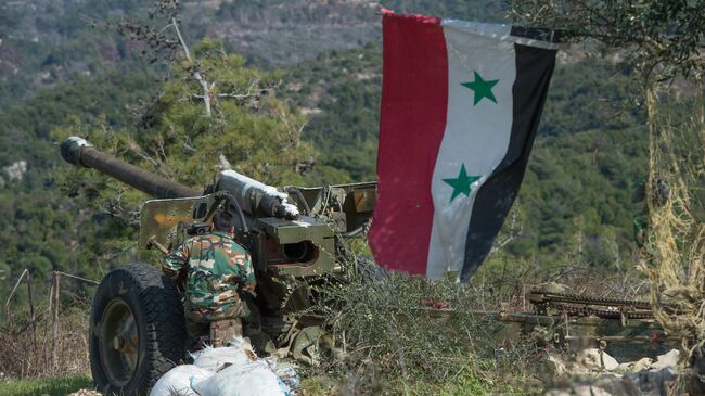 Сирийская армия в провинции Идлиб. Архивное фото