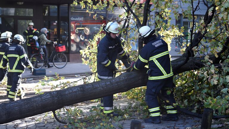 Последствия урагана Герварт в Германии. 29 октября 2017