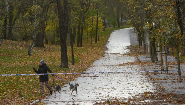 Женщина со своими собаками в парке Стромовка в Праге. 29 октября 2017