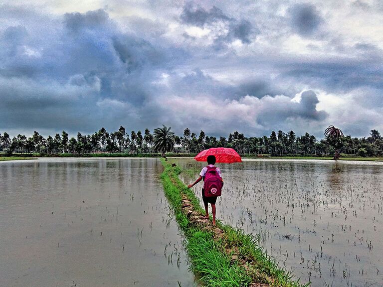 Anindya Phani. Journey to school