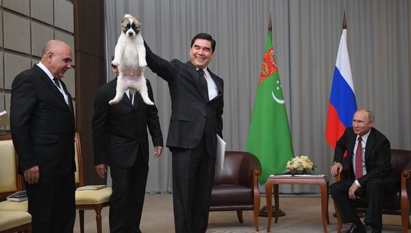 Президент РФ Владимир Путин и президент Туркмении, председатель кабинета министров Туркмении Гурбангулы Бердымухамедов во время встречи