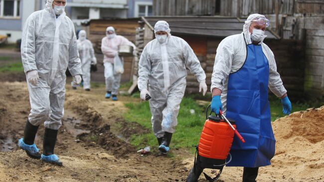 Сотрудники санитарных служб в деревне Озерки Окуловского района, где установлен карантин по африканской чуме свиней. 2012 год