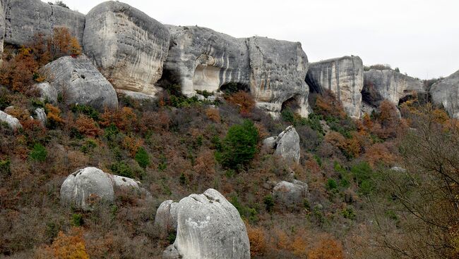 В Крыму определили задачи 28 памятников природы