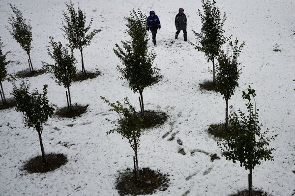 Снег на курорте Роза-Хутор в Красной Поляне
