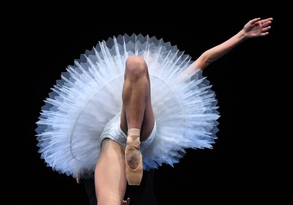 Балерина Дрезденского оперного театра Земперопер разминается перед премьерой балета Дэвида Доусона 5 в Нью-Йорке