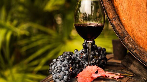 Виноградная лоза и вино в бокале на винодельческом предприятии Массандра в Крыму. Архивное фото