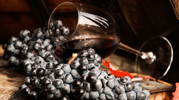 Виноградная лоза и вино в бокале на винодельческом предприятии Массандра в Крыму. Архивное фото