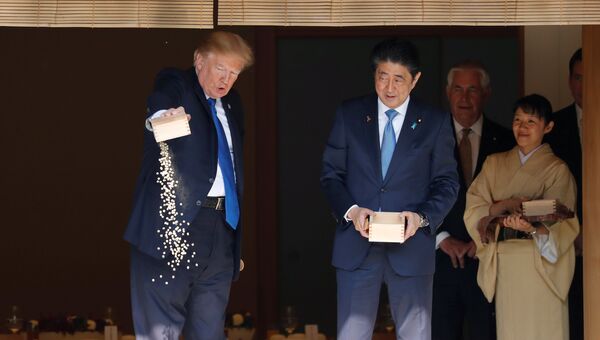 Президент США Дональд Трамп и премьер-министр Японии Синдзо Абэ кормят карпов в Токио, Япония. 6 ноября 2017