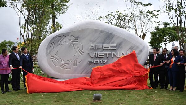 Оккрытие парка АТЭС во вьетнамском Дананге. 9 ноября 2017