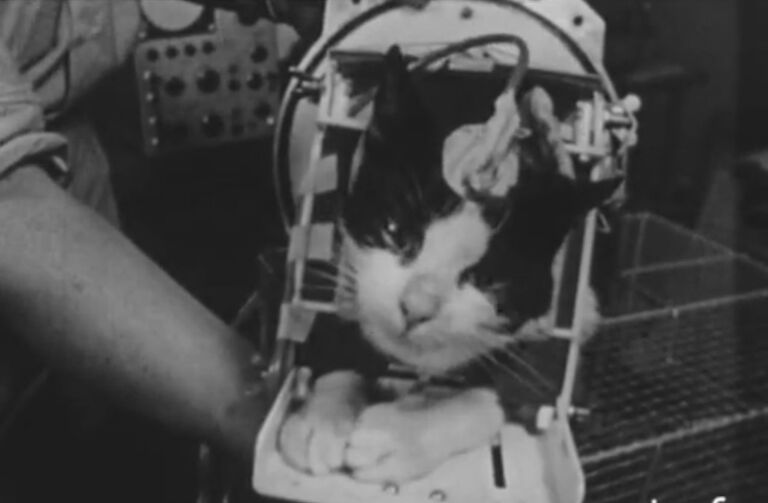Фелисетт перед полетом в космос, кадры из кинохроники Фелисетт перед полетом в космос, кадры из кинохроники
