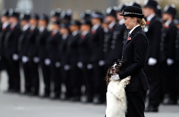 Офицер полиции с собакой во время парада полицейской академии в Хендоне, Лондон